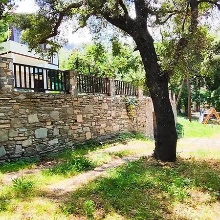 Tatil Evi Doctors' House